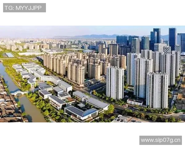 独家解读杭州排球队实力对比及未来发展潜力分析